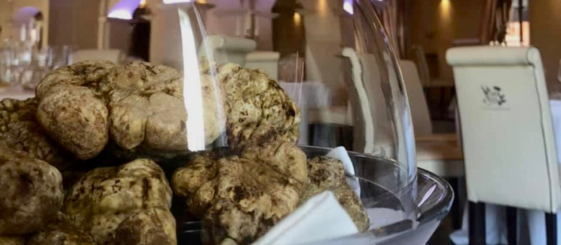                             Gourmet Truffle Stay  