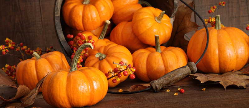 Halloween Weekend da Brivido & Relax