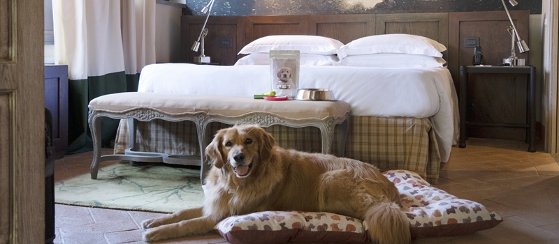 Your four-legged vacation