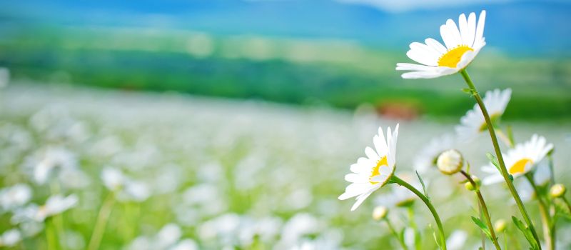 Spring offer: -15% sul tuo soggiorno di 3 notti